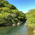 奥入瀬 石ケ戸休憩所の写真_338586