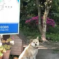 十和田湖の写真_338593