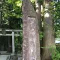 十和田湖の写真_338605