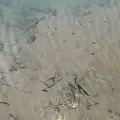地獄沼の写真_338705