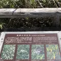 八甲田ロープウェイの写真_338737