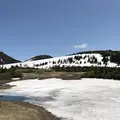 八甲田ロープウェイの写真_338773