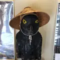 世界遺産　熊野本宮館の写真_338930