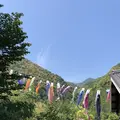 熊野古道大門坂の写真_338937
