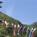 熊野古道大門坂の写真_338943
