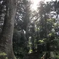 熊野古道大門坂の写真_338944