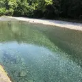 川湯温泉 冨士屋の写真_339055