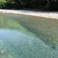 川湯温泉 冨士屋の写真_339059