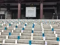 増上寺の写真_339160