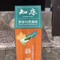 知床世界遺産センターの写真_339197