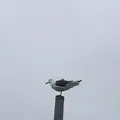 オロンコ岩の写真_339230
