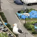 オロンコ岩の写真_339236