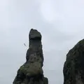 オロンコ岩の写真_339238