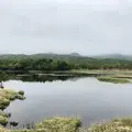 知床五湖の写真_339255