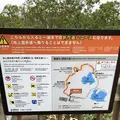 知床五湖の写真_339256