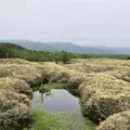 知床五湖の写真_339257