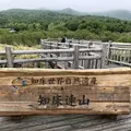 知床五湖の写真_339258