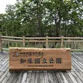 知床五湖の写真_339260