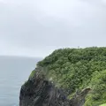 知床自然センターの写真_339267