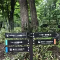 知床自然センターの写真_339272