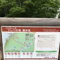 知床自然センターの写真_339276
