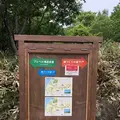 知床自然センターの写真_339278