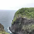 知床自然センターの写真_339279