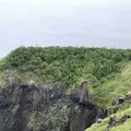知床自然センターの写真_339282