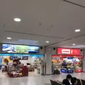 女満別空港の写真_339327
