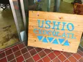 USHIO CHOCOLATL （ウシオチョコラトル）の写真_339717