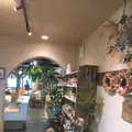パン屋 むぎぞうの写真_339804