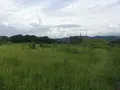 吉野ケ里遺跡の写真_340093