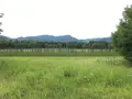 吉野ケ里遺跡の写真_340098