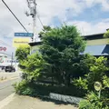 ローゼンベッカーの写真_340190