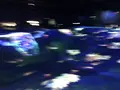 【閉業】森ビルデジタルアートミュージアム：エプソン チームラボボーダレス（MORI Building Digital Art Museum: EPSON teamLab Borderless）の写真_340475