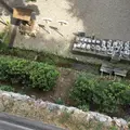 日龍峰寺（高沢観音）の写真_341009
