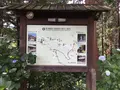 日龍峰寺（高沢観音）の写真_341011