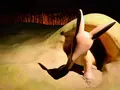 【閉業】星の王子さまミュージアムの写真_341082