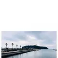 新江ノ島水族館の写真_341102