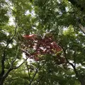 MOA美術館の写真_341132