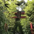 來宮神社の写真_341137