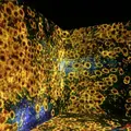 【閉業】森ビルデジタルアートミュージアム：エプソン チームラボボーダレス（MORI Building Digital Art Museum: EPSON teamLab Borderless）の写真_341285