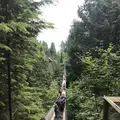 カピラノ吊り橋の写真_341700