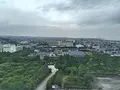 島原城の写真_341925