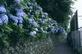 飛鳥山公園の写真_342041