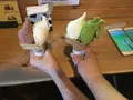 ジェラートショップ香想の写真_342196