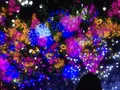 【閉業】森ビルデジタルアートミュージアム：エプソン チームラボボーダレス（MORI Building Digital Art Museum: EPSON teamLab Borderless）の写真_342357