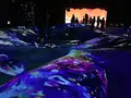 【閉業】森ビルデジタルアートミュージアム：エプソン チームラボボーダレス（MORI Building Digital Art Museum: EPSON teamLab Borderless）の写真_342589