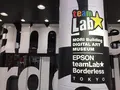 【閉業】森ビルデジタルアートミュージアム：エプソン チームラボボーダレス（MORI Building Digital Art Museum: EPSON teamLab Borderless）の写真_342590