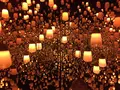 【閉業】森ビルデジタルアートミュージアム：エプソン チームラボボーダレス（MORI Building Digital Art Museum: EPSON teamLab Borderless）の写真_342593